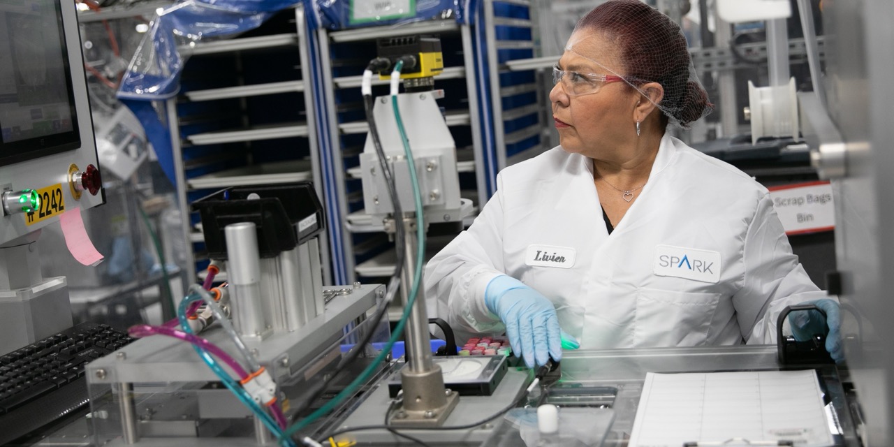 woman at work - Envista